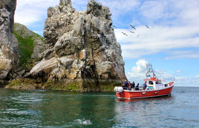 Boat Trip around Howth and Ireland's Eye - Photo 9