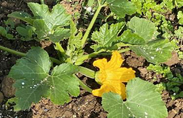 Villa spacieuse à Prailles-La Couarde avec piscine privée 100 m² ! - Foto 45