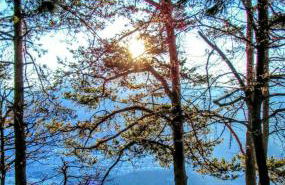 Residenza Christian - Foto 43