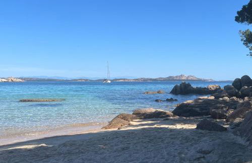 Steps from the Beach with views and big patio! - Photo 39