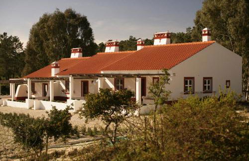 Monte Do Areeiro - Foto 5