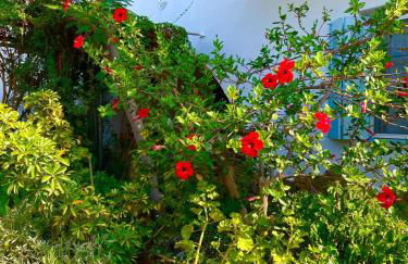 Lilo's Apartments - Foto 40