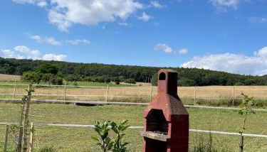 Ferienhaus Falkenblick - Foto 4