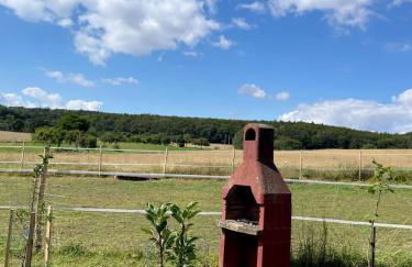 Ferienhaus Falkenblick - Foto 4