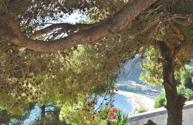 Studio Apartment With Adult and Children's Pool and sea View - Pelekas Beach - Photo 16