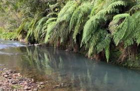 Cabana refúgio canyon Malacara 2 - Foto 13