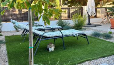 Apartment Lemon Tree - Foto 3, Garden, sunbed, Garden view