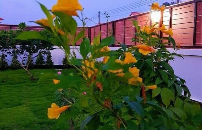 Baan Dear Home Stay - Photo 30