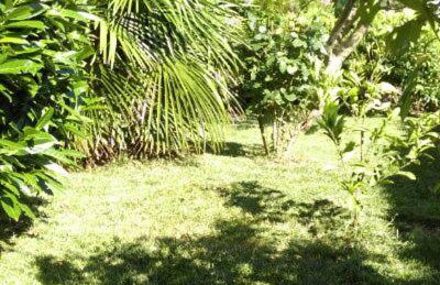 Apartments Lena - Photo 37