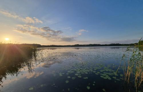 Wilczy Zew Private Spa & Nature - Foto 33