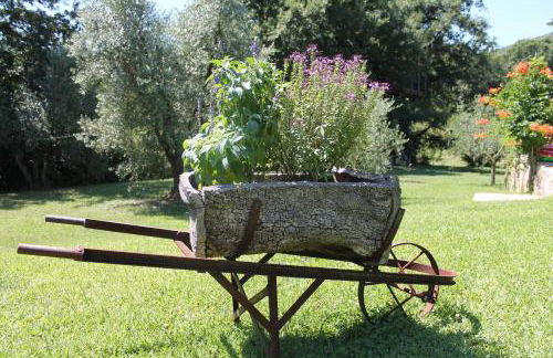 Podere Stollo - Foto 64