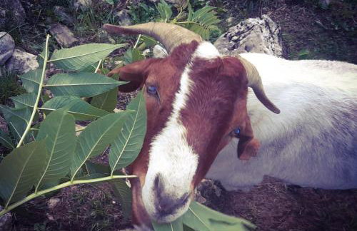 Apartment I&M - Foto 33