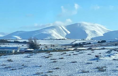 19 Forest Views - Foto 31