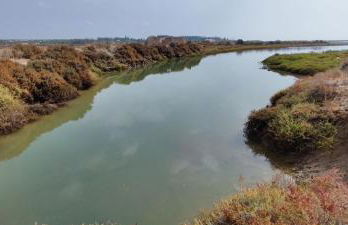 The King's View - Foto 43