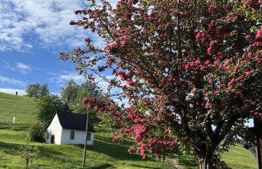 Kapellenhof Ferienwohnungen - Foto 53