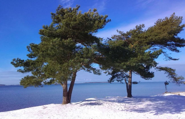 Halbinsel Peenemünde - Foto 65