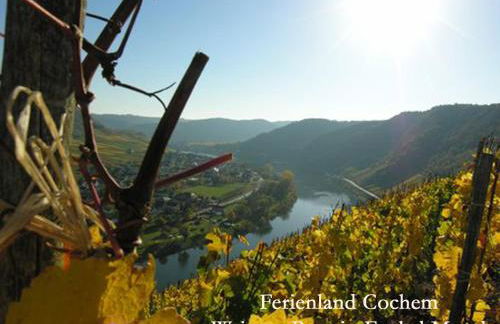 Ferienwohnungen Ferienland Cochem - Foto 13