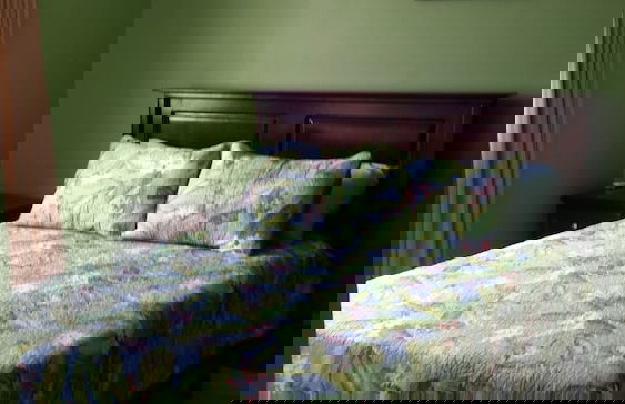 Oasis at Oaklands - Foto 2