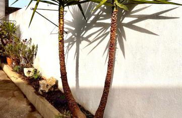 Monolocali Charlot - Foto 25