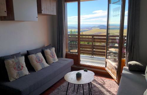 Lama-Gîte-des-Puys T3 Lamadalet, vue sud, terrasse, parking privé - Photo 1