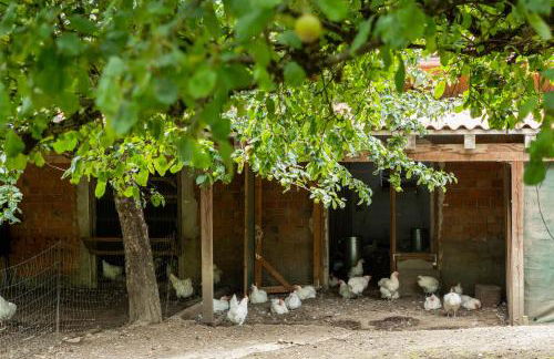 Hof Sinnenberg - Foto 8