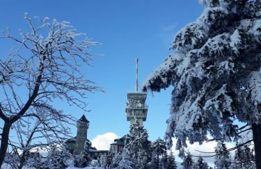 Ferienwohnung "Waldzauber" - Foto 30