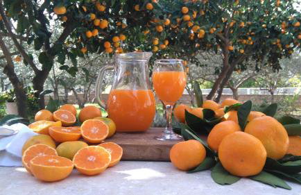 Apartments IDA Sucuraj - Foto 27