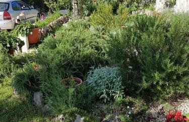 Nice studio apartment in picturesque village - Photo 21