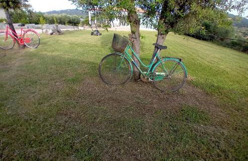 Agriturismo b&b Mares e Montes de Marrante - Photo 23