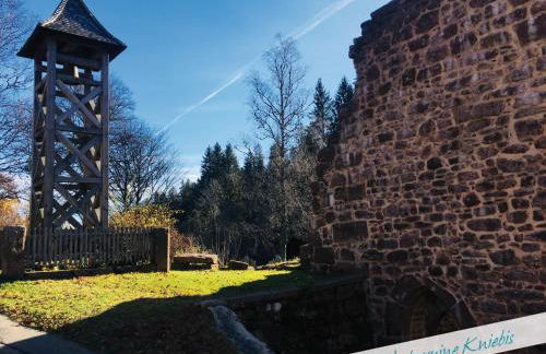 Fewo Nationalpark Schwarzwald - Foto 28