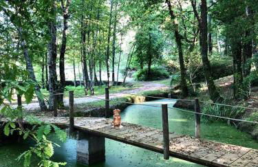 Quinta de Maderne - Foto 71