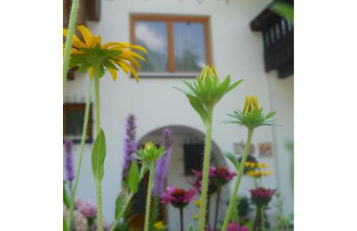 Fröhlichhof Wohnung Apfelblüte - Foto 12