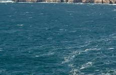 La Langouste ROUGE - Foto 48