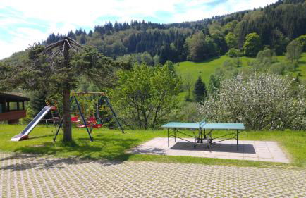 Steiert Panorama Apartments Todtnau - Foto 57