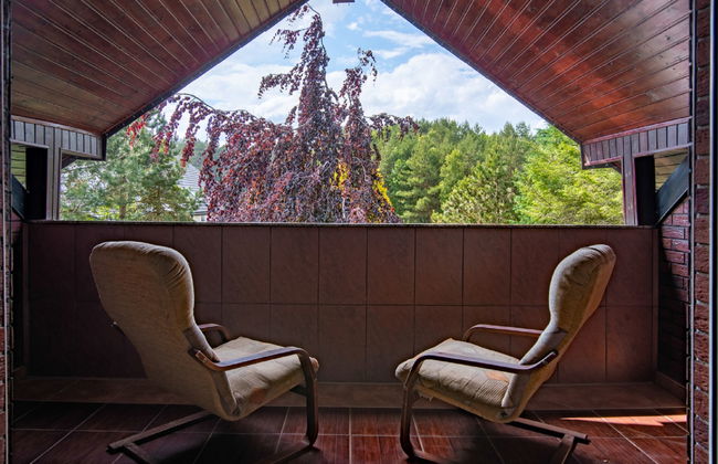 Villa Bieszkowice - Foto 5