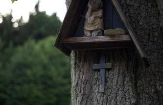 Stodoła Głębuczek - Foto 13