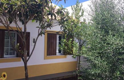 Casa Zé Actor - Foto 3