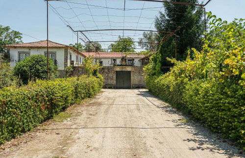 Casa do Pomar - Manor House - Foto 47