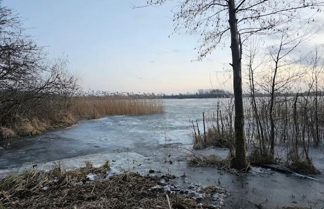 Appartement in Reizvoller Nachbarschaft - Foto 37