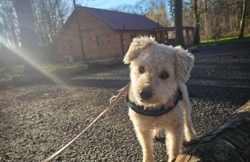 3 Bed in Kings Lynn oc-93413 - Foto 22