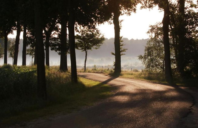 Villa in Someren With Sauna Near Golf Course - Photo 40