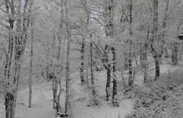 Chalet Emma appartement tout équipé et refait a neuf dans une résidence 3 étoiles - Photo 63