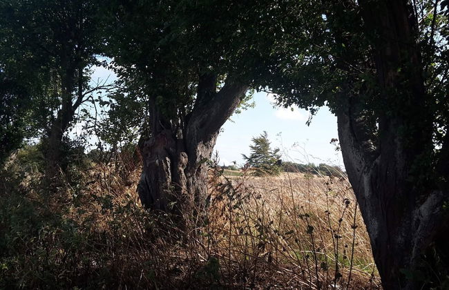 6 Person Holiday Home in Tranekaer - Foto 13