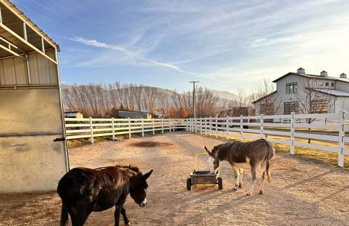 Studio Pool House by Xquisite Rentals - Photo 21