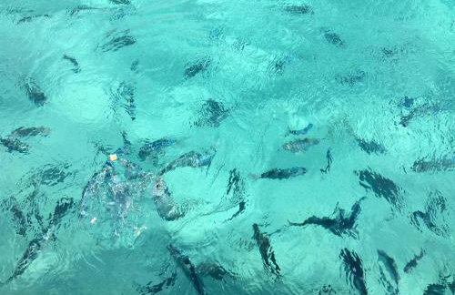 Casa Tre Mari exclusive private beach apartment - Foto 35