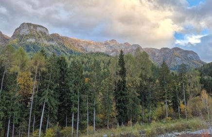 La Trementina Apartment & Spa - Foto 24