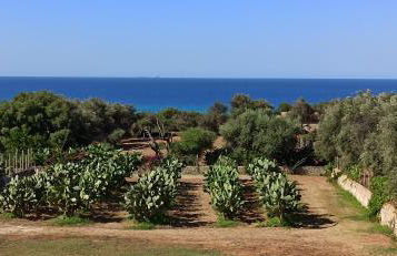 Villa Cad'à - Foto 9