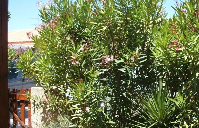 South of France Modern Retreat - Foto 20