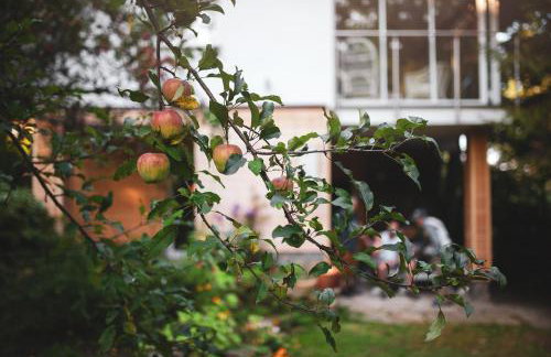 Pasieka - Dom Wypoczynkowy - Foto 26