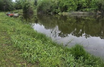 Magical Tree House Rental Nestled in the Woods on Farm Retreat near St. Louis, Missouri - Foto 39